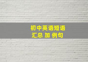 初中英语短语汇总 加 例句